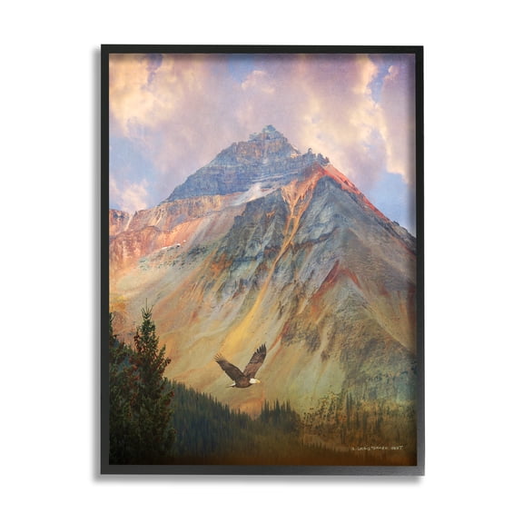 Stupell Soaring Eagle Mountain Valley Landscape Photography Black Framed Art Print Wall Art