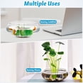 thumbnail image 3 of LOLIPPYY Bol à Poissons en Plastique Transparent pour Bureau avec Résistance et Excellente Texture 2 Pcs Petits Réservoirs Ronds pour Aquarium, 3 of 8