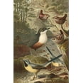 thumbnail image 2 of unknown 17x24 Gold Ornate Wood Framed with Double Matting Museum Art Print Titled - Wagtails and Wrens, 2 of 4