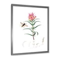 thumbnail image 2 of Designart 'Ancient Insects and Plants I' Farmhouse Framed Art Print, 2 of 4