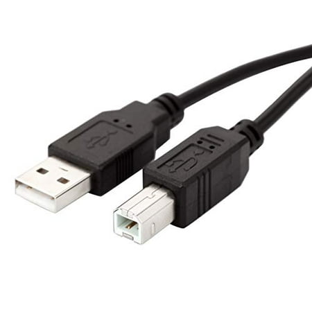 oprindelse Det er det heldige build Ancable USB B MIDI Cable for Instruments, Compatible with Piano, Midi  Controller, Midi Keyboard, Audio Interface | Walmart Canada