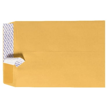 LUXPaper 6 x 9 Peel & Seal Open End Envelopes, Brown Kraft, 250/Pack