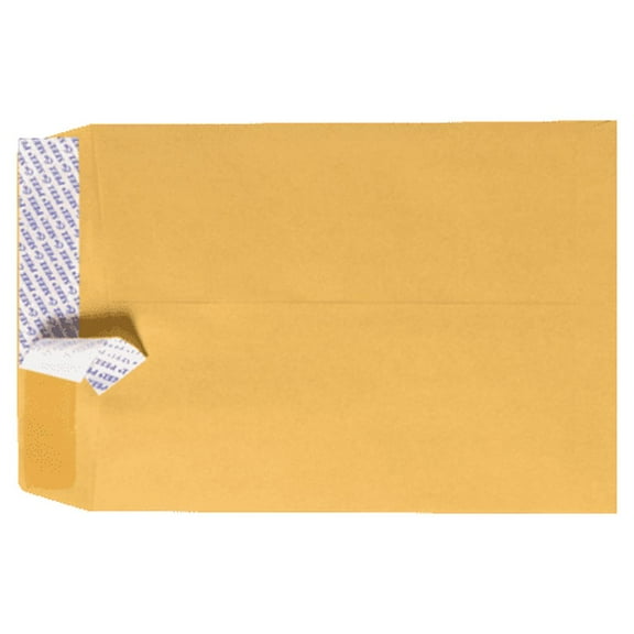 LUXPaper 6 x 9 Peel & Seal Open End Envelopes, Brown Kraft, 500/Pack