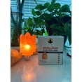 thumbnail image 2 of Salt Lamps Canada - Himalayan Pink Salt Night Lamp - NL Angel, 2 of 9