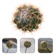 thumbnail image 1 of unbranded Accesorio Decorativo Para Con De Cactus En Material Resistente PU, 1 of 6