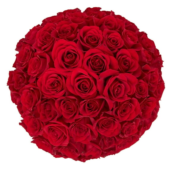 Member's Mark Roses, choose color variety and stem count