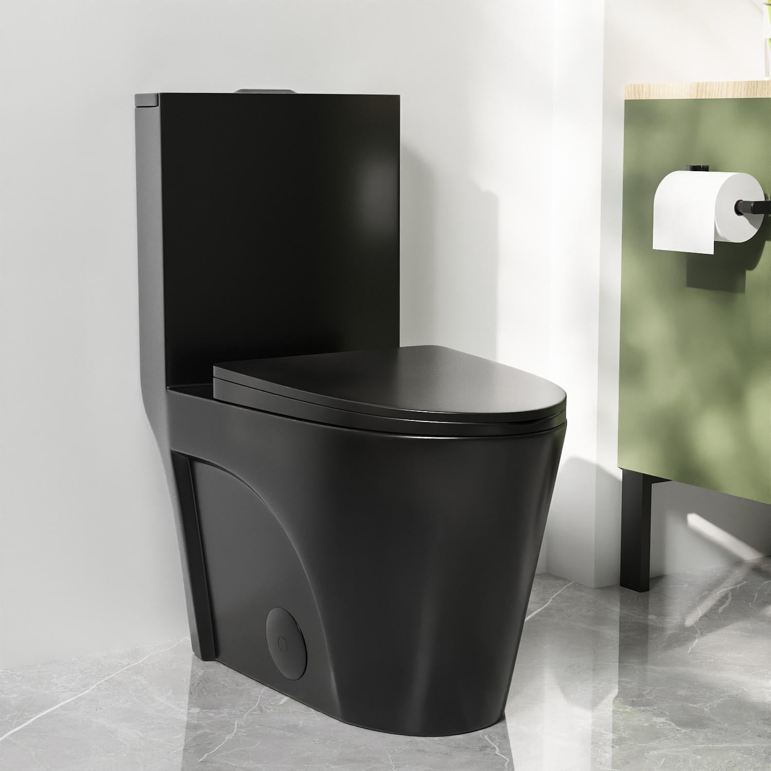 Ace 1-Piece 0.8/1.28 GPF Dual Flush Elongated Toilet in Black, Seat Included