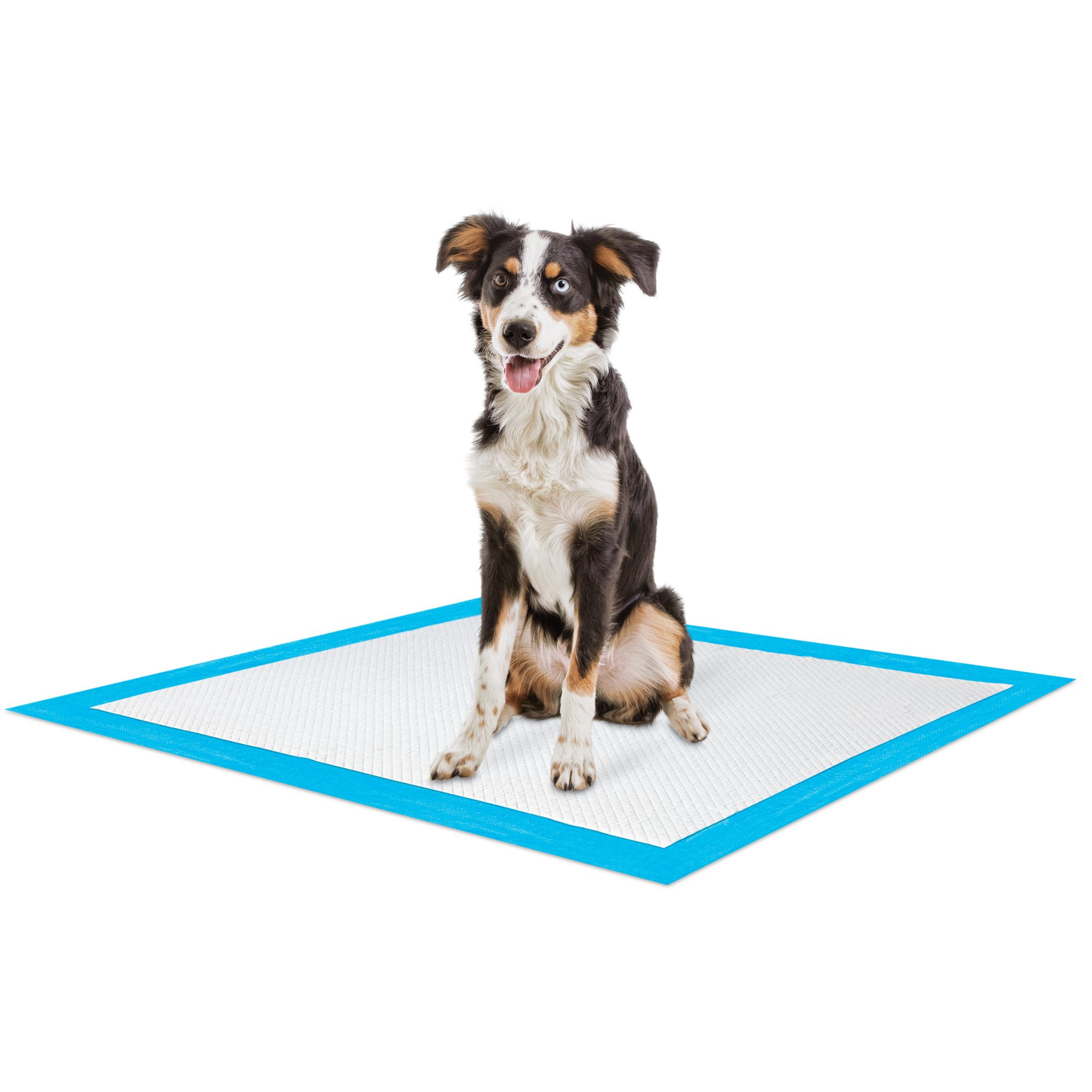 tough tug toys for dogs