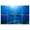 Color 1, variant on 8 Pack Art Acoustic Panels Sound Absorbing close up Great White Shark attack blood ocean Decorative Soundproof Wall Panels Self Adhesive for Recording Studios Office 48"x32"