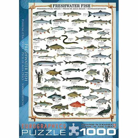 EuroGraphics Freshwater Fish 1000-Piece Puzzle