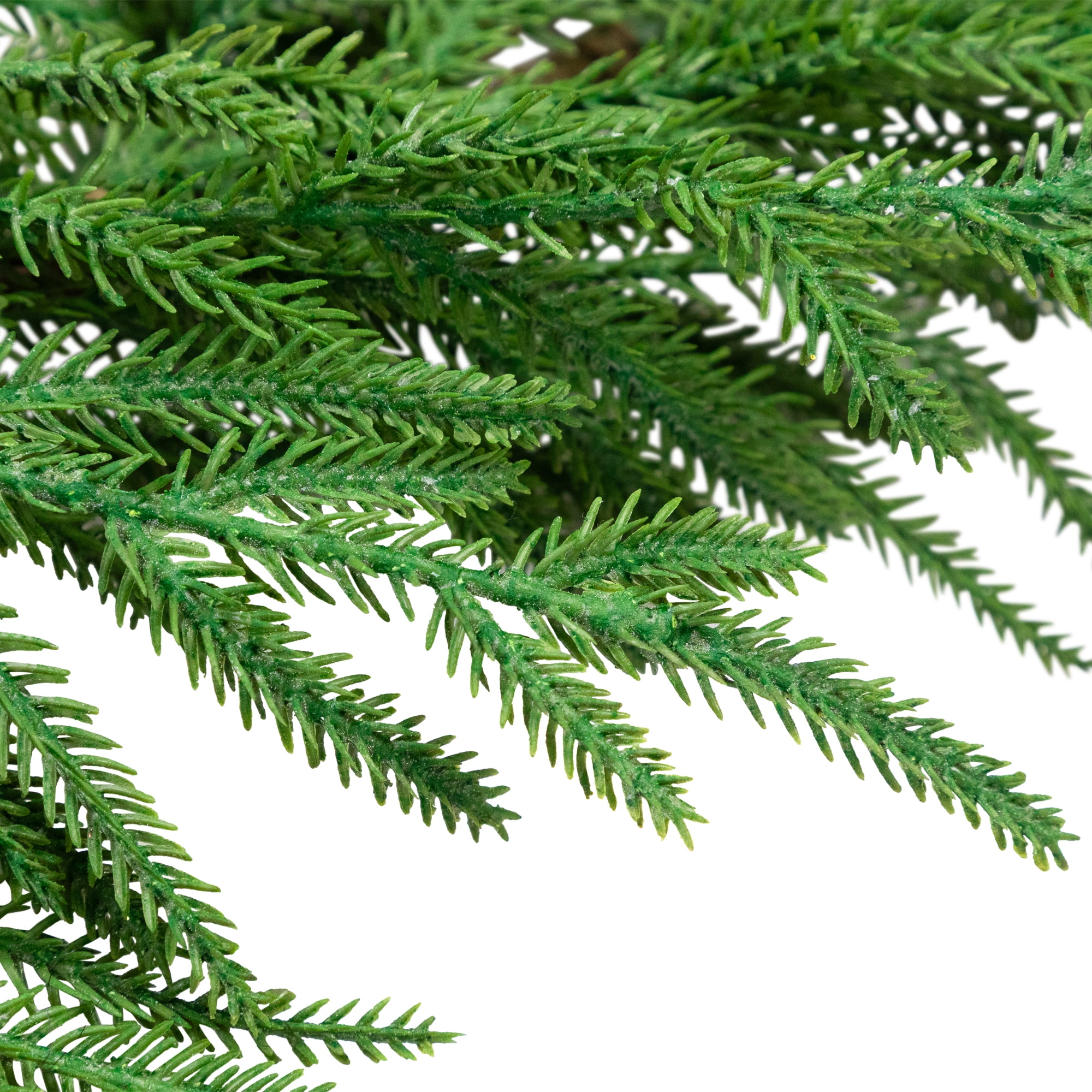Norfolk Pine Artificial Christmas Garland - 5' - Unlit