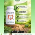 thumbnail image 3 of Limpiador intestinal Manteniendo Tu Salud con hoja de senna, 90 cápsulas, 3 of 5