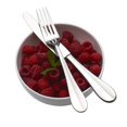thumbnail image 4 of Fitz and Floyd Nevaeh Grand 18.10 Stainless Steel Forged 45-Piece Flatware Set, Service for 8, 4 of 9