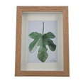 thumbnail image 3 of WORGEOUS 2 pcs  Wooden Photo Frame Useful Dried Plant Leaves Frame Desktop Photo Holder, 3 of 8