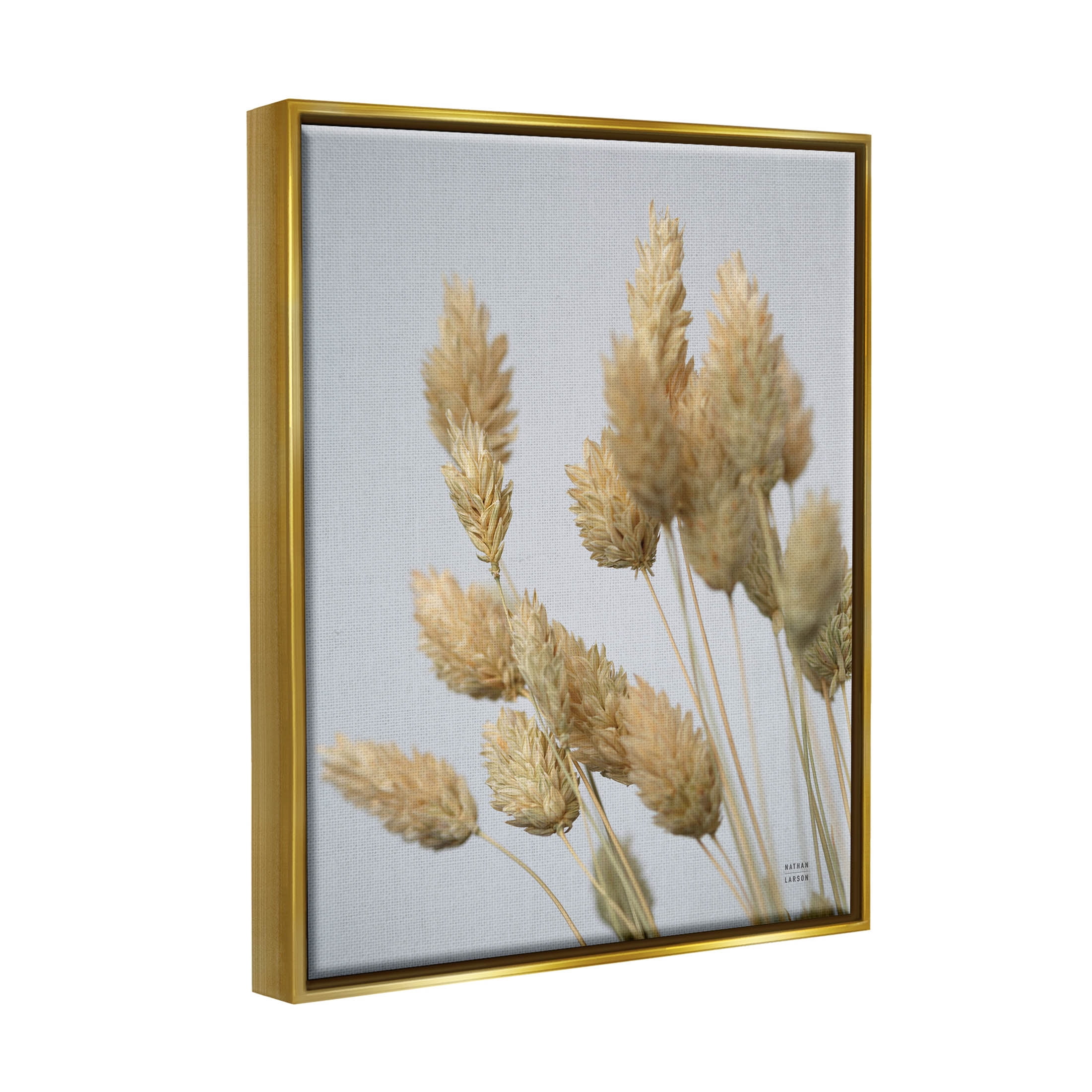 Stupell Industries Calm Pampas Grass Breezy Sky Photograph Metallic Gold Floating Framed Canvas Print Wall Art, Design by Nathan Larson
