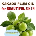 thumbnail image 4 of Aceite portador Botanical Beauty Australian Kakadu Plum 30 ml, 4 of 7