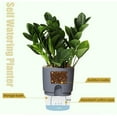 thumbnail image 4 of Self Watering Planter Pots for Indoor Plants, 6 Inch African Violet Pots - Self Aerating, High Drainage, Deep Reservoir, Gray, 4 of 7