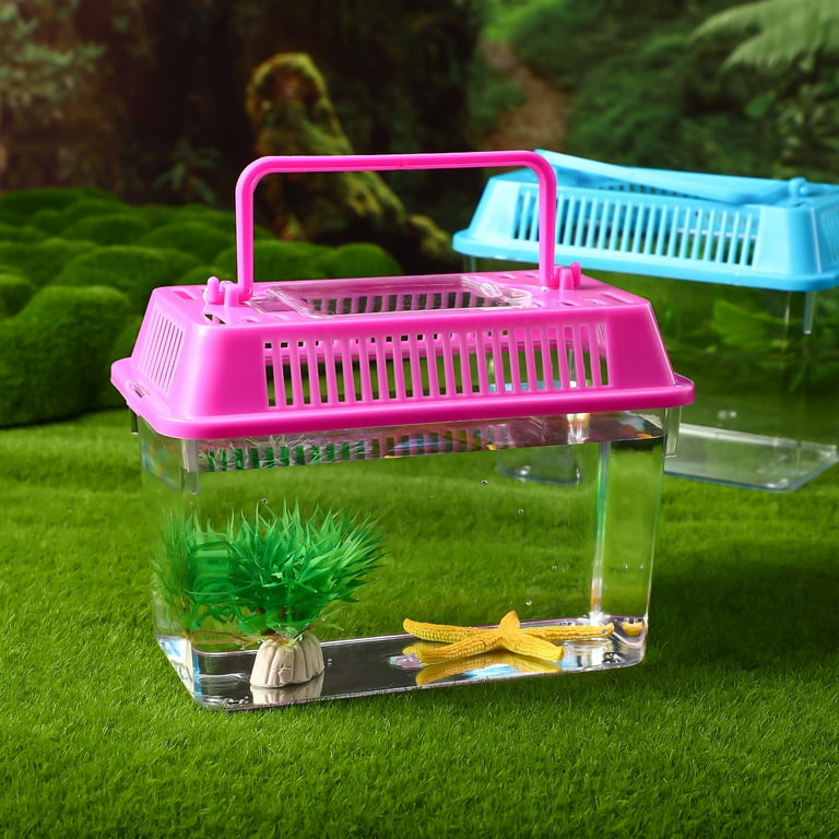 Pets at home goldfish tank hot sale