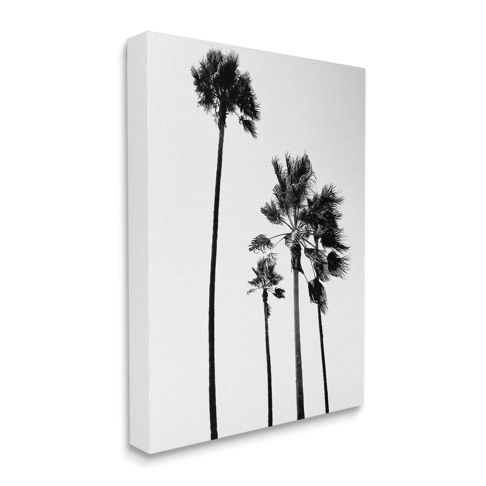 Stupell Industries Looming Palm Trees Clear Summer Sky Photography Photograph Gallery Wrapped Canvas Print Wall Art, Design by Amelia Myers