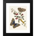 thumbnail image 2 of Maria Sibylla Merian 14x18 Black Modern Framed Museum Art Print Titled - America's Cherries (1705), 2 of 5