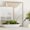 thumbnail image 3 of Bouclair Succulentes Blanches dans un Plateau en Ciment, 3 of 5