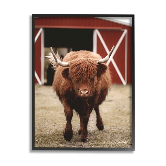 Stupell Industries Trotting Highland Cattle Bold Red Barn Photograph Black Framed Art Print Wall Art, Design by Dakota Diener