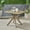 Gray, variant on Noble House Stamford 35.5" Square Wooden Dining Table in Teak