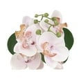 thumbnail image 2 of Parrigan Faux Pink Orchid in White Pot, 2 of 6