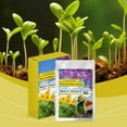 thumbnail image 6 of Cadorn Plant Fertilizer Sticks - Slow - Release Nutrient Spikes for Potted & Garden Plants, 6 of 9