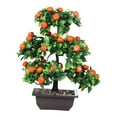 thumbnail image 2 of Bonsái de Frutal Artificial de 13 Pulgadas de Alto, Decoración de Mesa, Centro de Mesa Resistente para Decoración de Oficina en El Hogar, Naranja, 2 of 8