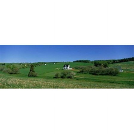 Panoramic Images Summer Fields And Houses Prince Edward Island Canada Poster Print by Panoramic Images