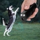 thumbnail image 5 of Repelente ultrasónico multifuncional para perros Dispositivo de entrenamiento antiladridos Linterna LED, 5 of 14