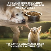 BestLife4Pets Worm Defense for Dogs – Natural Broad Spectrum Supplement to Help Remove Worm Infestations