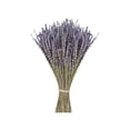 thumbnail image 2 of Advancent Paquetes de lavanda seca natural lavandas cosechadas ligeras hermoso ramo de flores para boda DIY fiesta en casa Decoración del hogar Lavanda seca 50 gramos Advancent HA084088-01, 2 of 6