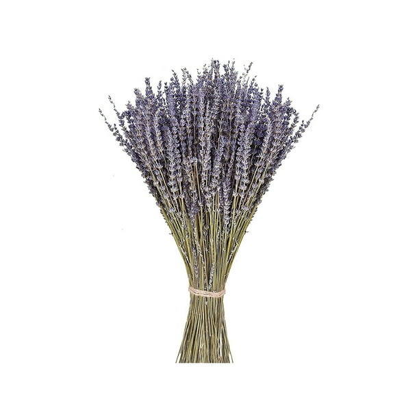 Bearachild Paquetes de lavanda seca natural, lavandas ligeras, hermoso ramo de flores, arreglo de flores, accesorio para fiesta en casa Decoración del hogar Lavanda seca 50 gramos Bearachild HA084088-01