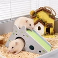 thumbnail image 3 of WEIOUKC Hamster House Hideout with Ladder, Hamster & Guinea Pig House, Durable Chew-Proof, Cozy Sleeping Shelter for Bunnies, Rabbits & Chinchillas, 3 of 7