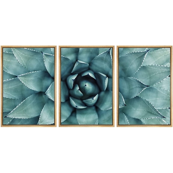 wall26 - 3 Piece Framed Canvas Wall Art - Sharp Pointed Agave Plant Leaves - Modern Home Art Stretched and Framed Ready to Hang - 24"x36"x3 Natural