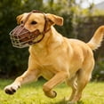 thumbnail image 5 of Anti-Biting Anti-Barking Metal Dog Muzzle, Adjustable Training Basket Muzzle for Medium and Large Dogs, Breathable Wire Muzzle for Safe Drinking and Panting, Black/Brown, 5 of 7