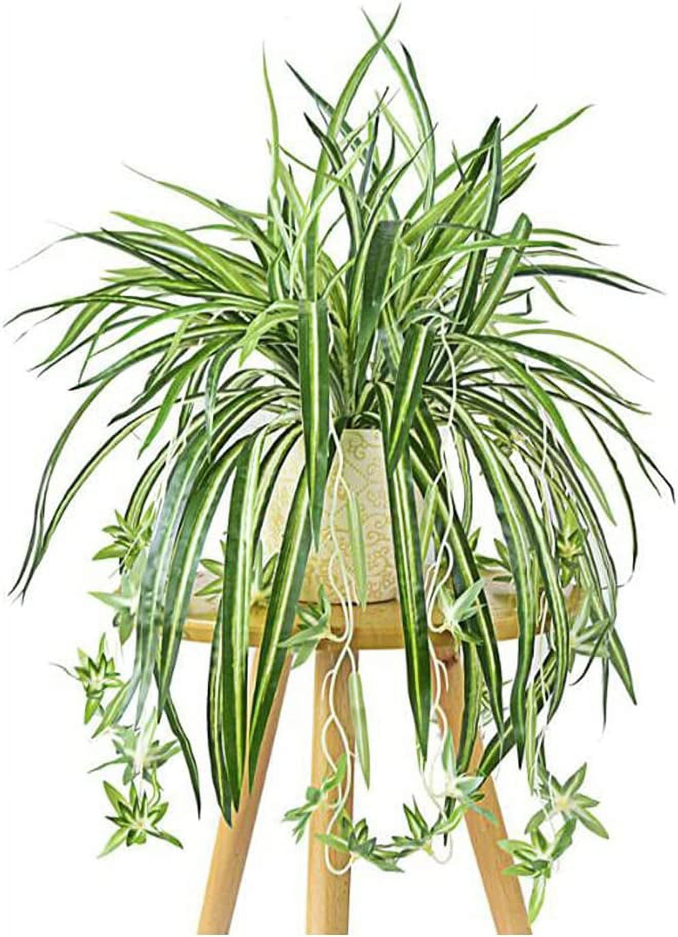 Viworld 8PCS Artificial Hanging Plants Fake Spider Silk Plants Chlorophytum Wall Hanging Plants Artificial Chlorophytum Silk Flowers for Indoor Outdoor Wall Decor