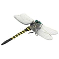 thumbnail image 4 of Dragonfly Modèle, Figurine Réaliste Dragonfly 12cm, Ornement Dragonfly, Figurine Dragonfly Sortie Haute Intensité, 4 of 7