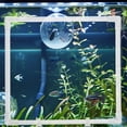 thumbnail image 1 of unbranded Anillo De Alimentación Para Peces De Acrílico Transparente Con Ventosa Para Acuario, 1 of 8