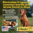 thumbnail image 4 of Happy Jack® Liqui-Vict 2X Dog Canine Wormer Round Hook Worms Parisites 2 oz, 4 of 7