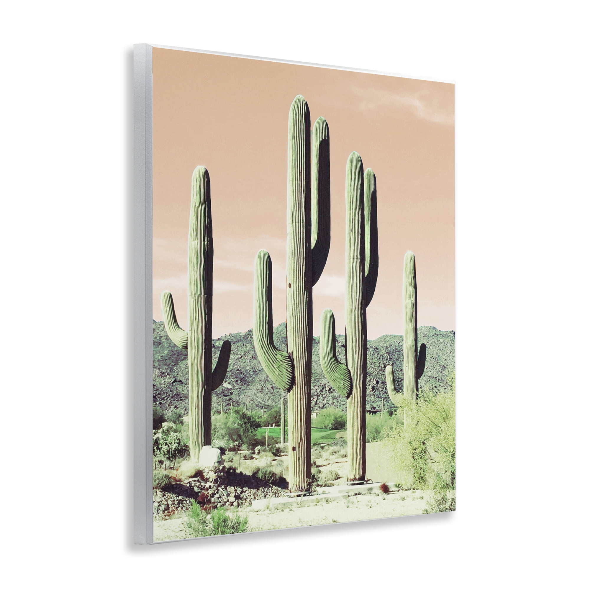 Stupell Industries Sunrise Cactus Scene Landscape & Nature Photography Unframed Art Print Wall Art, 11 x 14