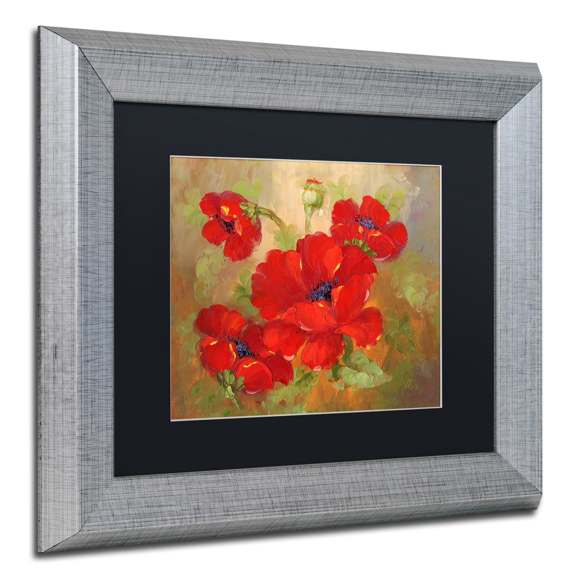 Trademark Fine Art "Poppies" Canvas Art by Rio Black Matte, Silver Frame