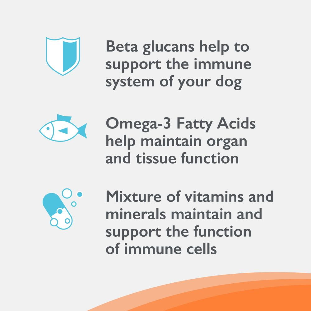 Imuquin Powder Immune Health for Dogs 30ct