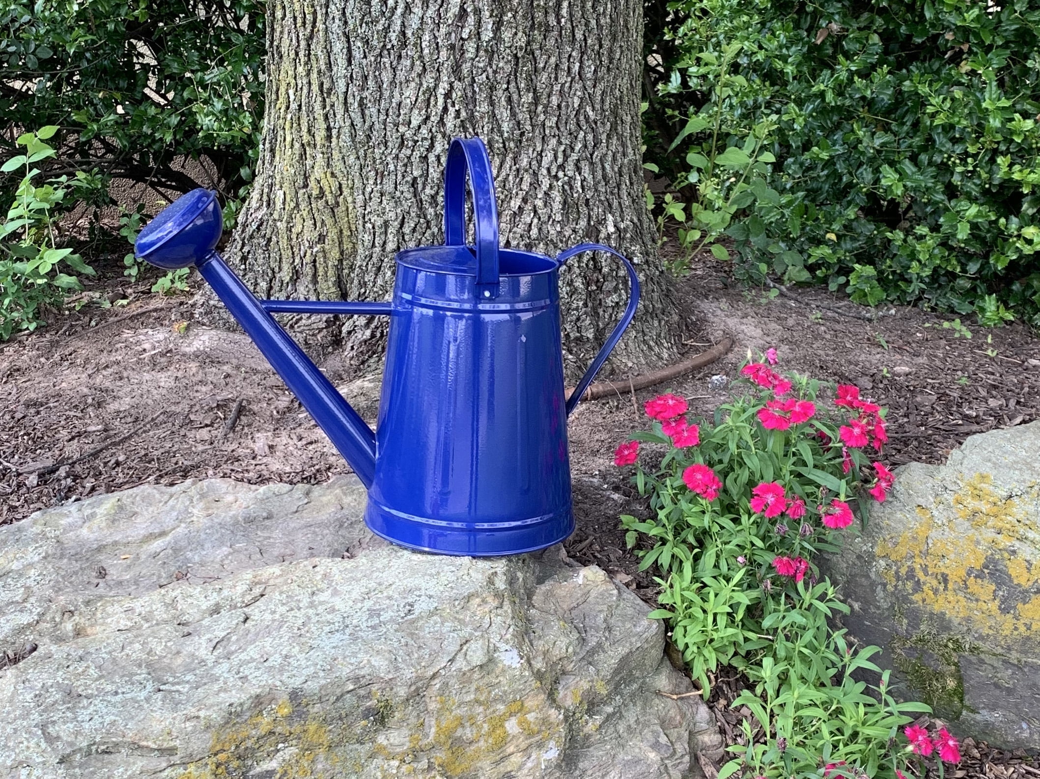 Tierra Garden 2.1 Gallon Blue Powder-Coated Galvanized Steel Watering Can
