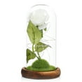 thumbnail image 1 of Labymos Artificial Rose Flower with LED Lights Glass Dome on Wood Base Forever Artificial Forever, 1 of 8