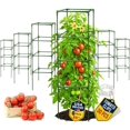 thumbnail image 1 of Soporte Cuadrado para Tomates K-Brands Paquete de 6 Unidades de 147 cm, 1 of 9