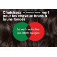 thumbnail image 2 of CHROMA CRÈME Green Dyes Shampoo (500ml/16.1oz), 2 of 2