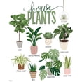 thumbnail image 3 of Louise, Gigi 15x18 Black Modern Framed Museum Art Print Titled - House Plants, 3 of 5